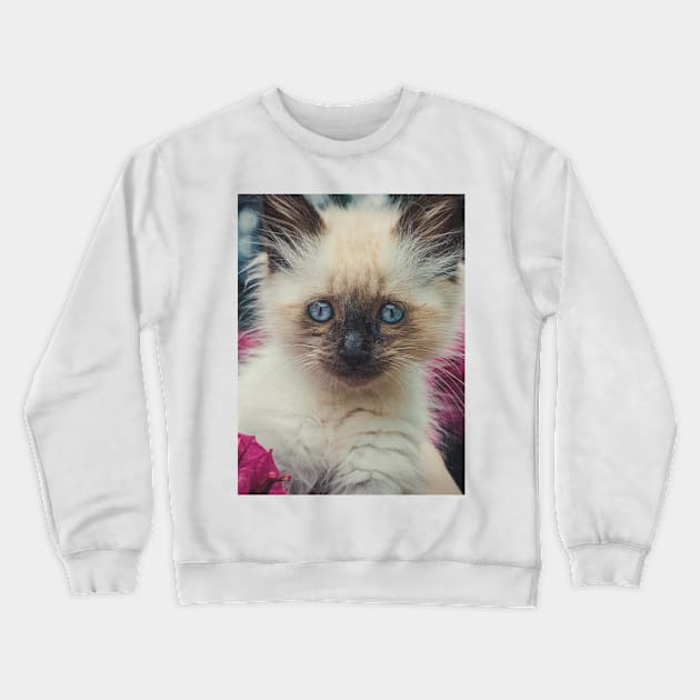 Cute kitty Crewneck Sweatshirt by helintonandruw